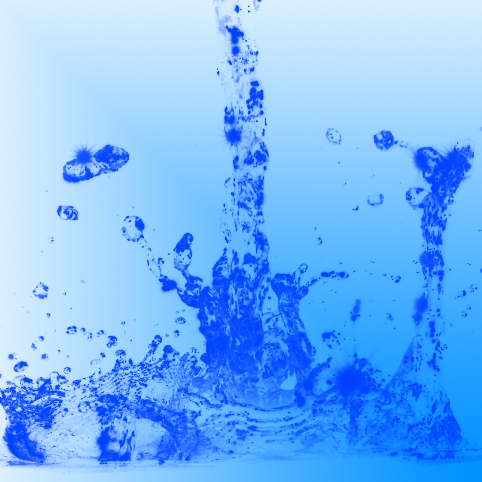 Water Splash & Drops - Brushes - Fbrushes